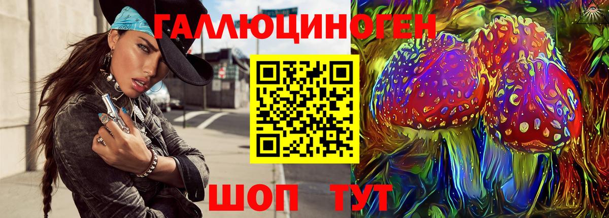 Галлюциногенные грибы Cubensis  Вход с VPN  Клин 
